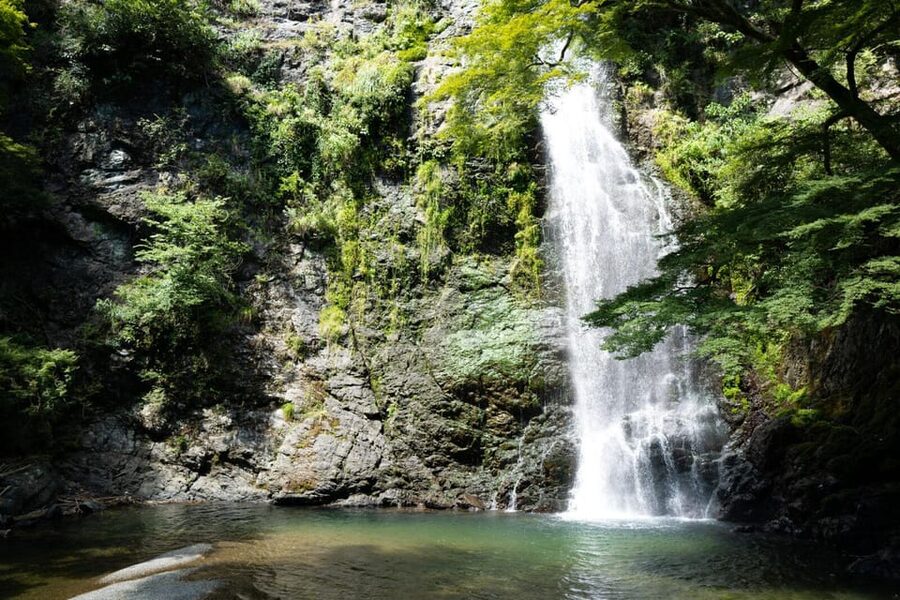 Osaka: Minoh, Katsuoji Temple, & Minoh Falls Full-day Tour - Weather, clothing, and practical preparation
