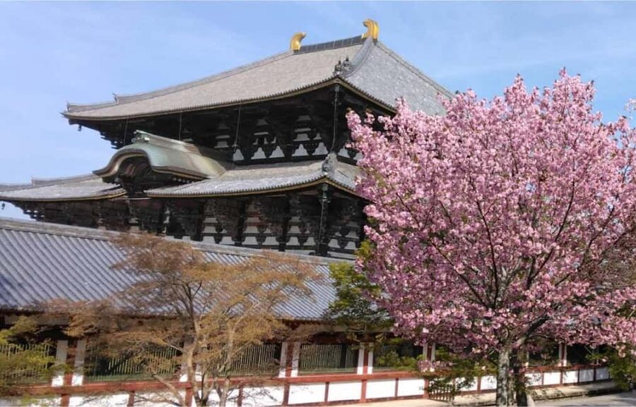 Osaka: Nara and Uji Day Trip with Deer Park and Hot Spring - Key points to know before you book