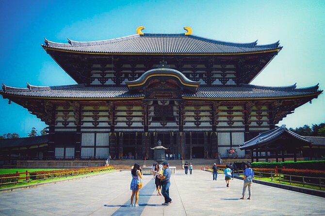 Osaka & Nara in 1-Day by Private Van with Local Expert Guide - Nara Park and the deer