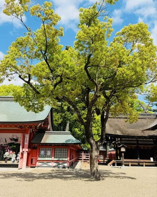 Osaka & Nara: Private Tour with English speaking guide - Lunch in or around Shinsekai