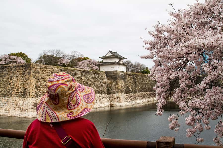 Osaka: Osaka Castle 3 hours Historical Walking Tour - Taking in Osaka from the observation deck