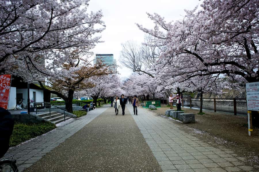 Osaka: Osaka Castle 3 hours Historical Walking Tour - Seeing Miraiza Osaka and its military past