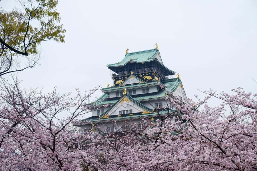 Osaka: Osaka Castle 3 hours Historical Walking Tour - What the $30 price really covers