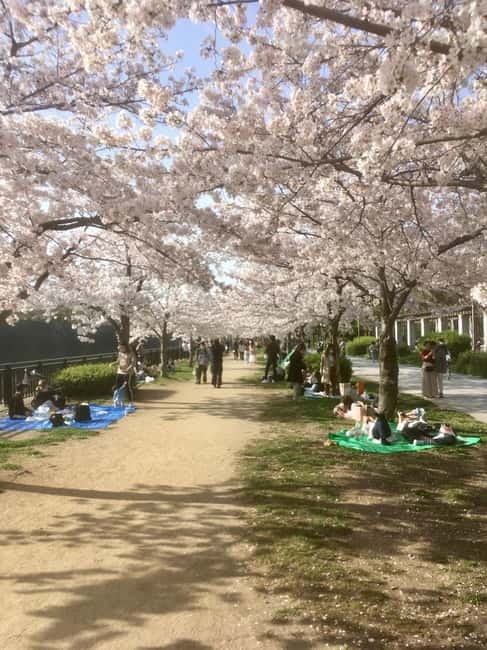 Osaka: Private and Fully Customized Tour with Hotel Meet Up - The 10-minute train ride to Shinsekai