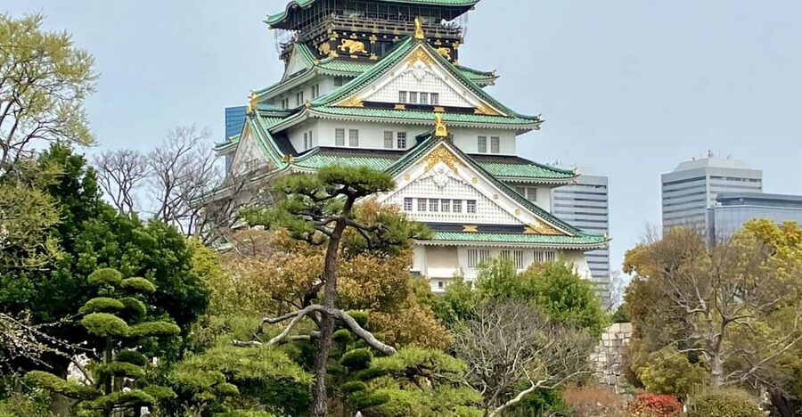 Osaka: Private and Fully Customized Tour with Hotel Meet Up - Dotonbori for the final hour
