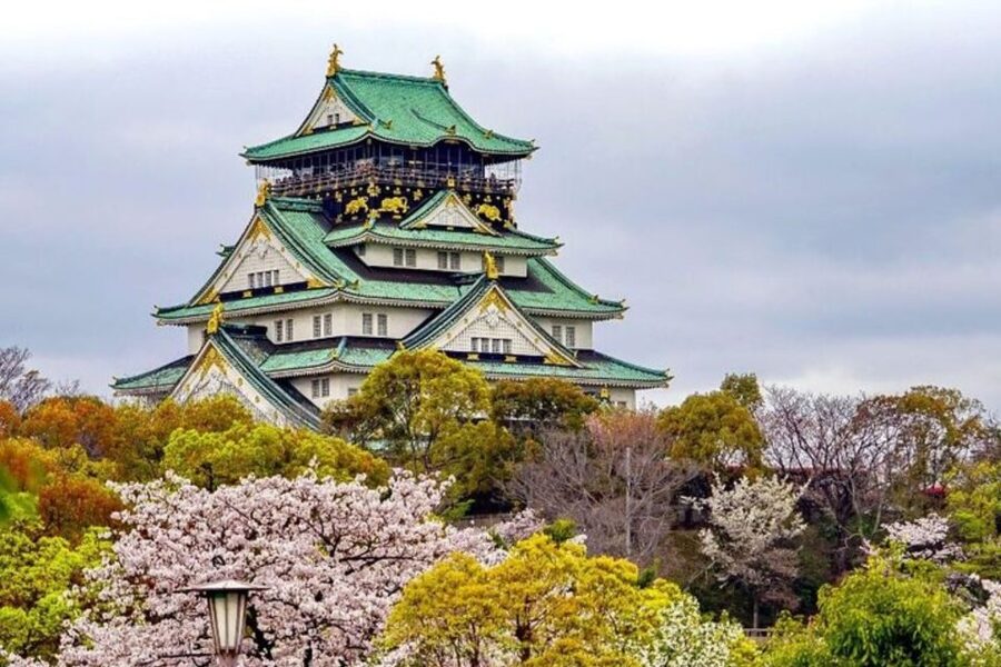 Osaka: Private Custom Walking Tour with a Local Guide - Is $62 a good value?