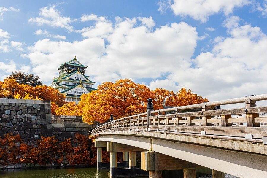 Osaka Private Tour with Government-Licensed Guide - Seeing old and new Osaka in one day