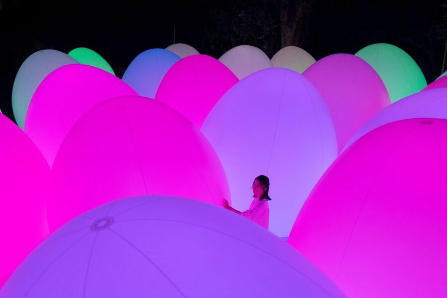Osaka: teamLab Botanical Garden Entry Ticket - Why this garden feels different from a standard teamLab show