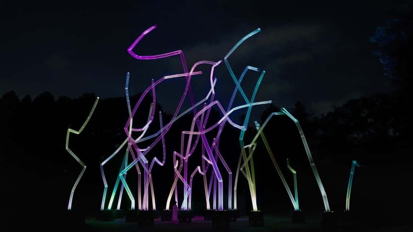 Osaka: teamLab Botanical Garden Entry Ticket - How the installations change after dark