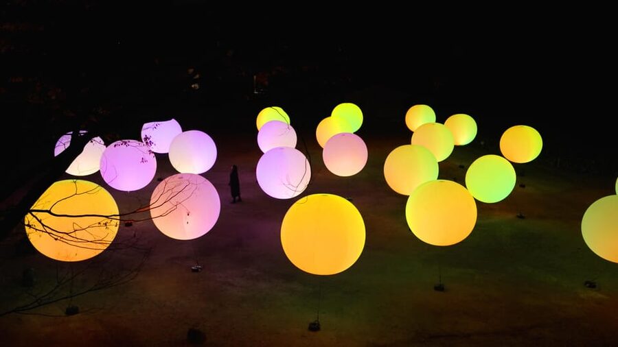Osaka: teamLab Botanical Garden Entry Ticket - A relaxed walk, with a few practical cautions