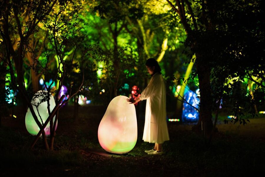Osaka: teamLab Botanical Garden Entry Ticket - Is $11 good value for an evening in Osaka?