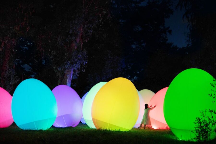 Osaka: teamLab Botanical Garden Entry Ticket - Who will enjoy this experience most