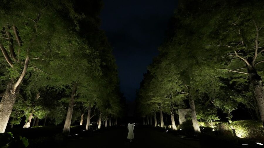 Osaka: teamLab Botanical Garden Entry Ticket - Starting with Nagai Botanical Garden’s living collection