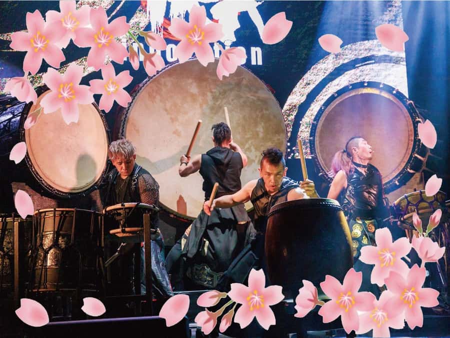 Osaka: UTAGE Japanese Taiko Live Show - A close-up look at Japanese musical traditions