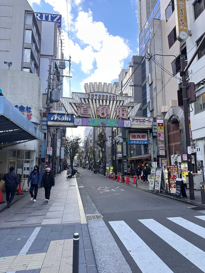 Osaka: Visit the must-see places. - Who will get the most from this Osaka tour