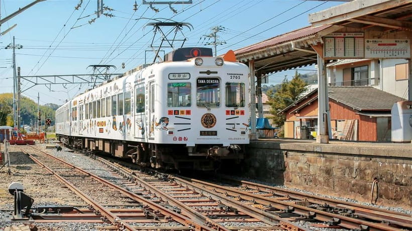 Osaka: Wakayama Cat Train, Seafood market, Hot Springs Tour - From Nipponbashi to Kishi Station