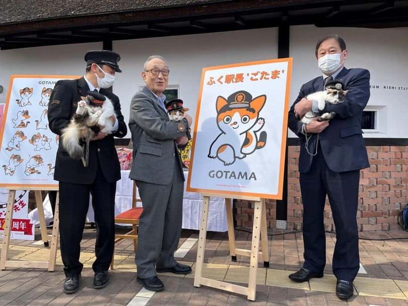 Osaka: Wakayama Cat Train, Seafood market, Hot Springs Tour - ToreTore Market and the tuna-cutting show