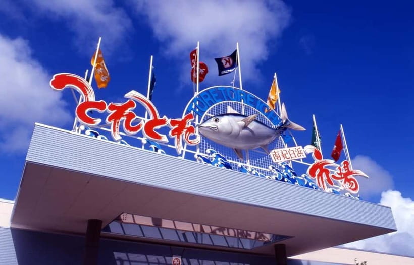 Osaka: Wakayama Cat Train, Seafood market, Hot Springs Tour - Who should book this Wakayama day trip?