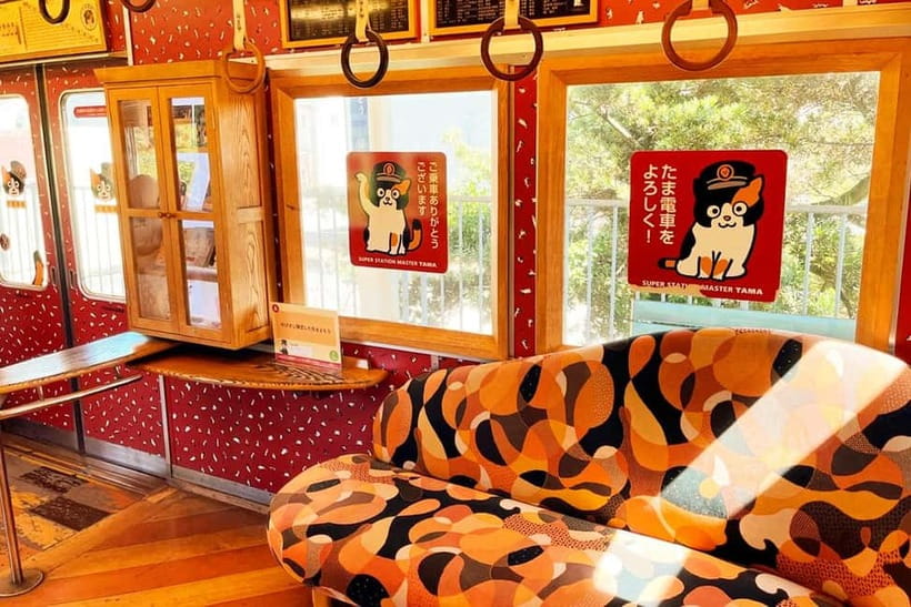 Osaka: Wakayama Cat Train, Seafood market, Hot Springs Tour - Kishi Station and the Tama cat railway