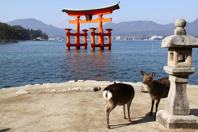 Peaceful Hiroshima & Miyajima UNESCO 1 Day Bus Tour - Hiroshima in one day, with the hard part first