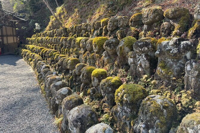 Pedal Adventure Kyoto's iconic landmarks on an e-bike tour - What the guides add beyond the major sights