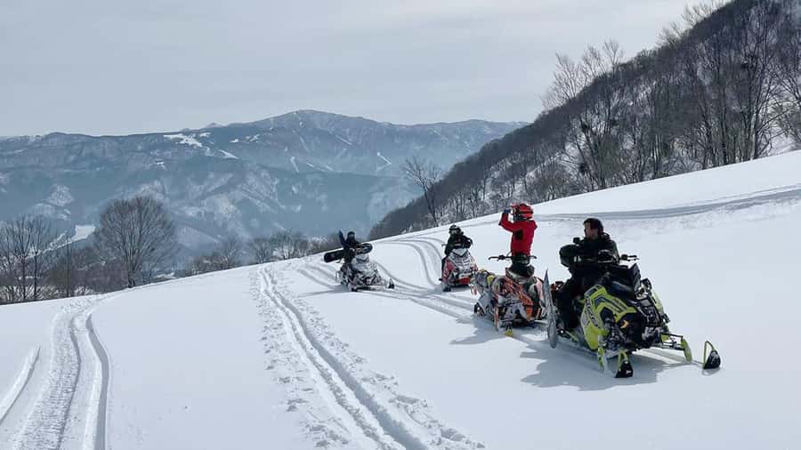 Penguin Fun & Snowmobile : Sapporo Winter (Asahiyama Zoo) - The Ken and Mary Tree photo stop
