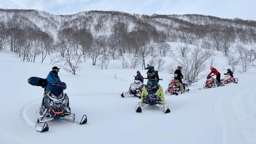 Penguin Fun & Snowmobile : Sapporo Winter (Asahiyama Zoo) - Asahiyama Zoo and the penguin walk