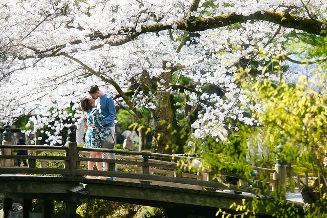 Photoshoot session by professional photographer in Kanazawa - Kenrokuen Garden for a more spacious setting