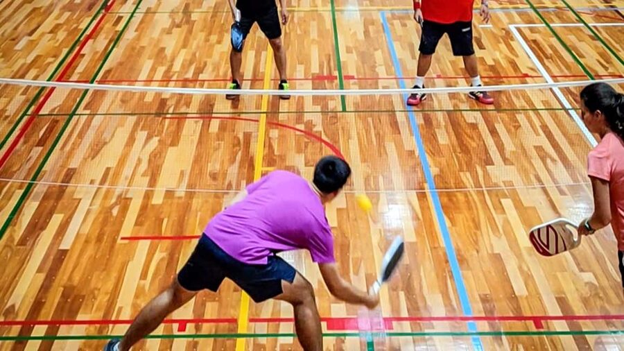 Pickleball in Osaka, Kobe & Kyoto with Locals! - Who should book this activity?