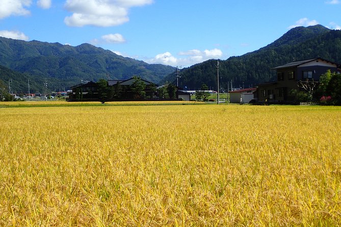 Private Afternoon Cycling Tour in Hida-Furukawa - From canals and markets to working farmland