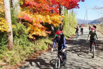 Private Afternoon Cycling Tour in Hida-Furukawa