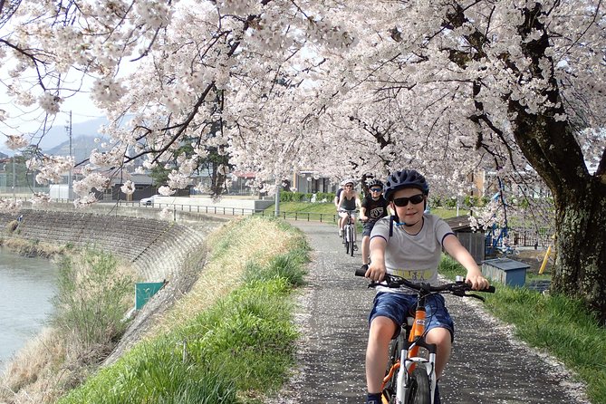 Private Afternoon Cycling Tour in Hida-Furukawa - Photo stops, tea, and small local details