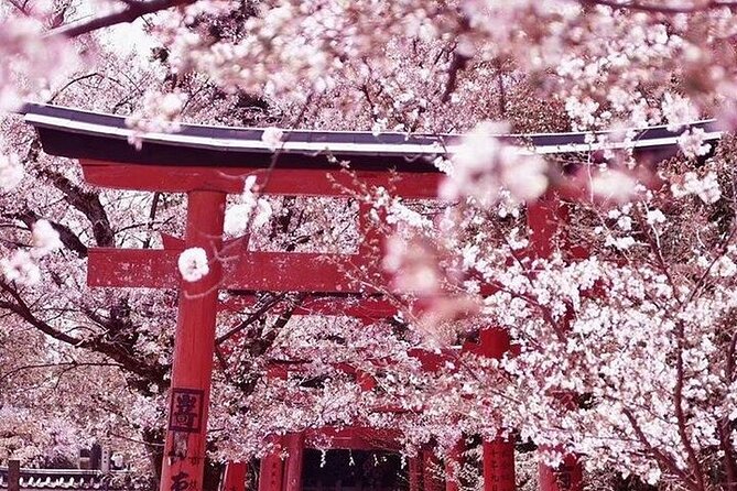 Private arrival transfer from Kansai International airport to Kyoto City - The 90-minute to two-hour drive to Kyoto