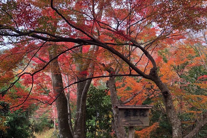 Private car tour in Kyoto (up to 4) - Finishing in Gion