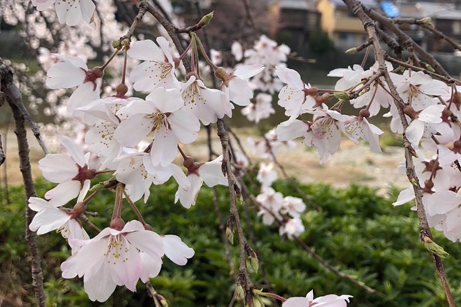 Private car tour in Kyoto (up to 4) - Seeing the thousand statues at Sanjūsangen-dō