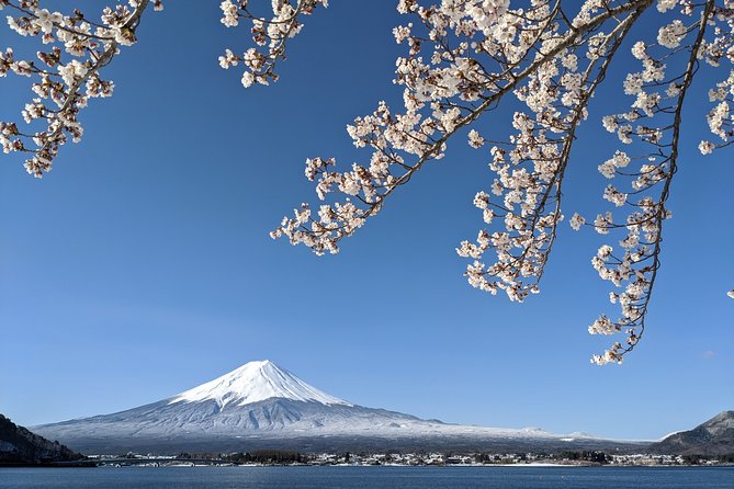 Private Car Tour to Mt. Fuji Lake Kawaguchiko or Hakone - Kawaguchiko’s shrines, flowers, and lakeside views