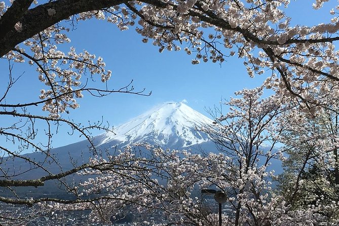 Private Car Tour to Mt. Fuji Lake Kawaguchiko or Hakone - Traditional villages, ponds, sake, and music