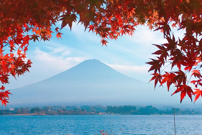 Private Car Tour to Mt. Fuji Lake Kawaguchiko or Hakone - Caves and the Aokigahara forest
