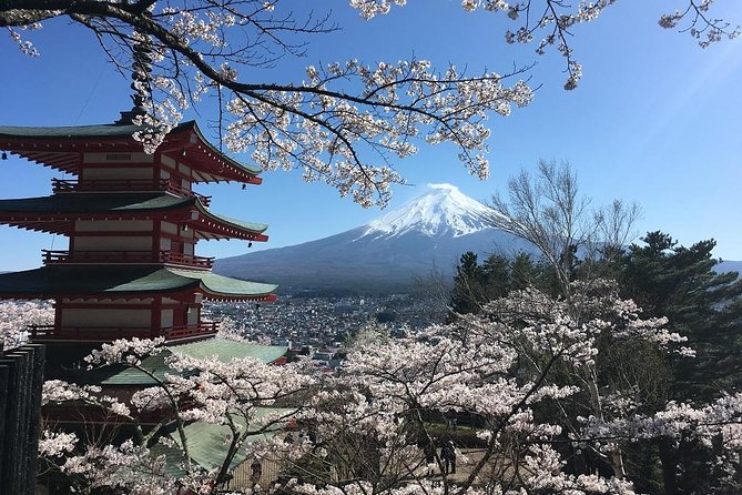 Private Car Tour to Mt. Fuji Lake Kawaguchiko or Hakone - Ropeways, museums, and seasonal options