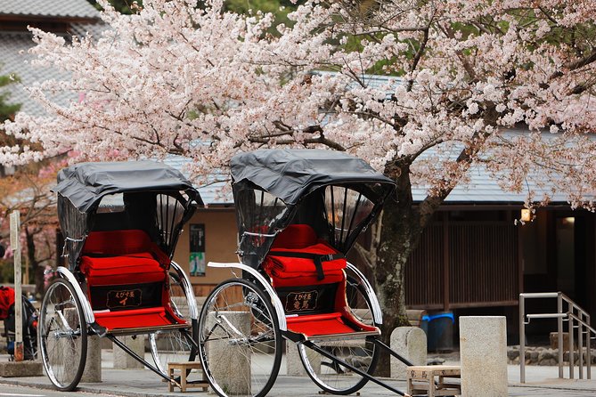 Private Custom Tour: Kyoto in One Day - A private plan for Kyoto’s big sights