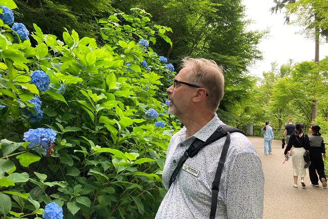 Private Custom Tour: Kyoto in One Day - What the guide adds