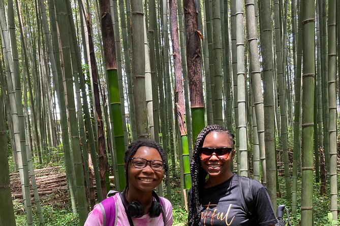 Private Custom Tour: Kyoto in One Day - Public transport or private vehicle