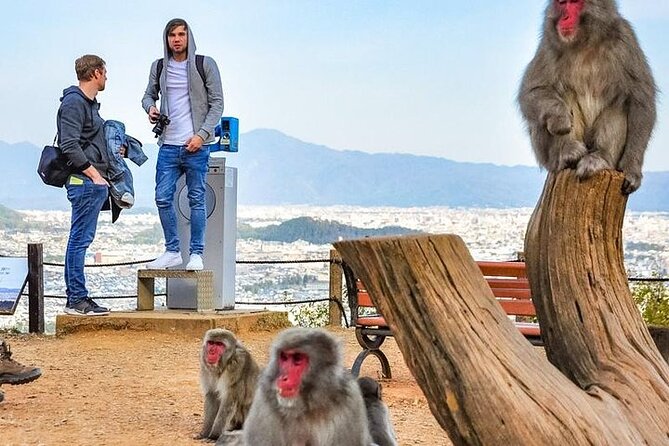 Private Day Tour - Kyoto Arashiyama & Bamboo Forest Perfect Tour! - Jojakko-ji’s maple-covered hillside