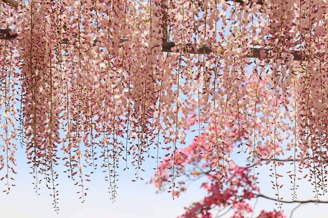 Private departure transfer from Kyoto city to Osaka Itami International airport - Should you book this Kyoto to Itami transfer?