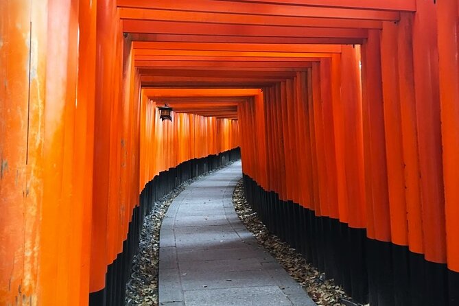 Private eBike Tour Exploring Fushimi with Torii Red Gate Ride - What the guides add to the experience