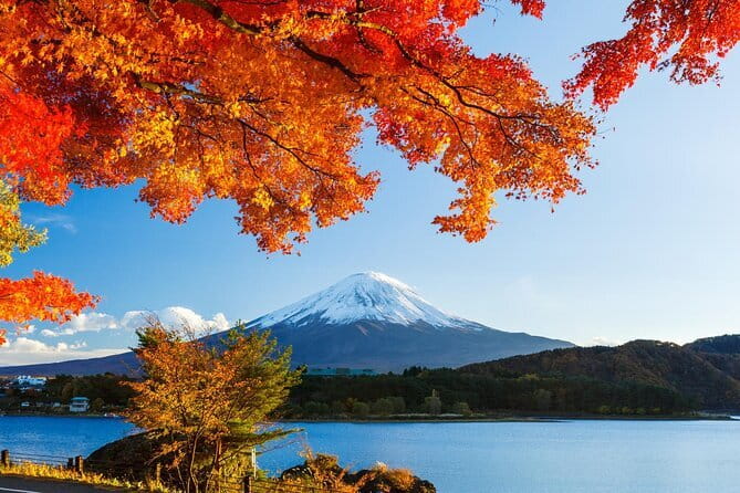 Private Fuji Full-day Car Tour with Hotel Pickup -Local Guide - Shiraito Falls and a powerful natural stop