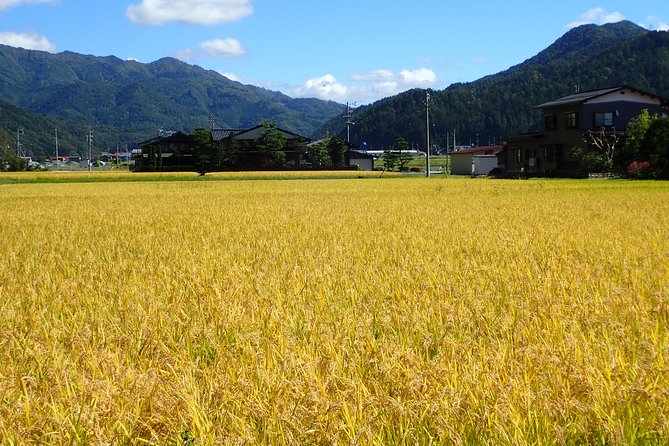 Private-group Morning Cycling Tour in Hida-Furukawa - Why the private format matters