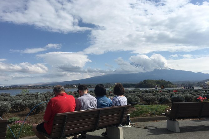 Private guided hidden gems tour by local English speaking driver - Shrines, old trees, and the spiritual side of Fuji