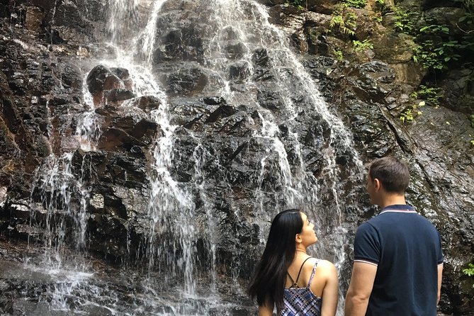 Private guided hidden gems tour by local English speaking driver - Aokigahara forest and lava caves