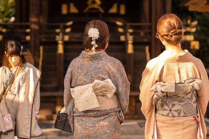 Private Guided Historical Sightseeing Tour in Kyoto - Gion is a final look at old Kyoto